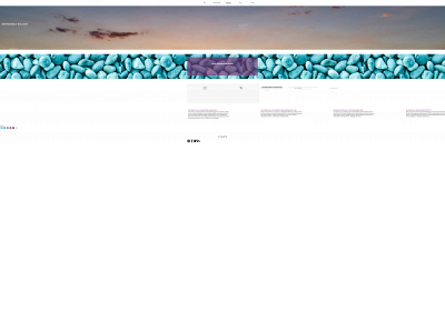 responsibledollars.com snapshot