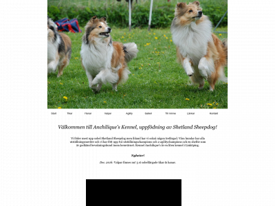 anchilique.se snapshot