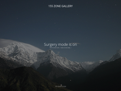 155.zone snapshot