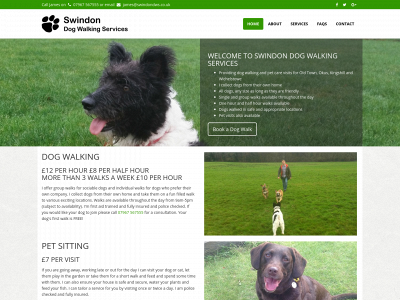 swindondws.co.uk snapshot