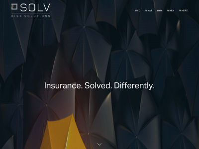 solvrisksolutions.com snapshot