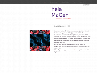 helamagen.se snapshot