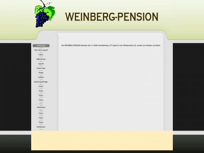 pension-weinberg-in-caputh.de snapshot