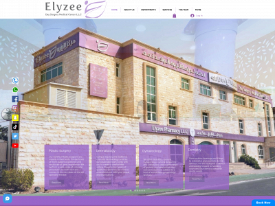 elyzeemc.com snapshot