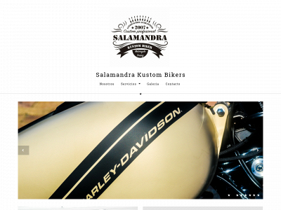 salamandrakustom.com snapshot