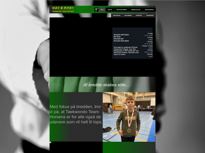 teamhorsens.com snapshot