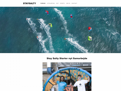 staysalty.dk snapshot