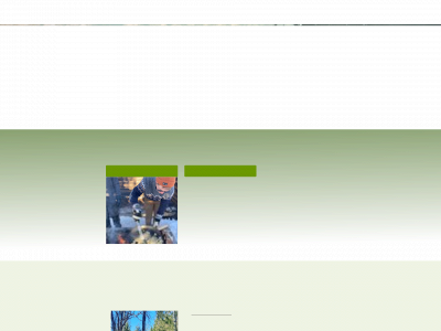 downlakeadventure.se snapshot