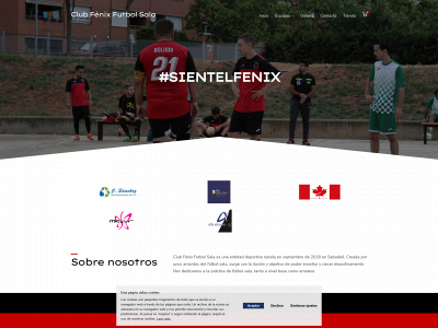 fenixfs.es snapshot