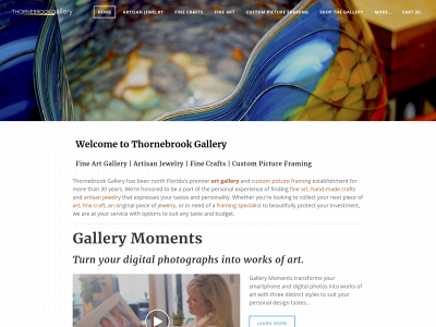 www.thornebrookgallery.com snapshot