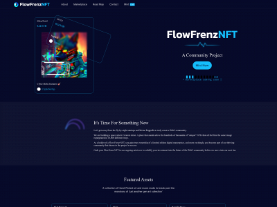 flowfrenznft.com snapshot