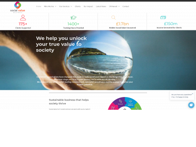 socialvaluebusiness.com snapshot