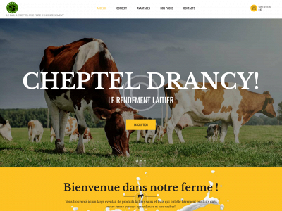 cheptel-drancy.com snapshot