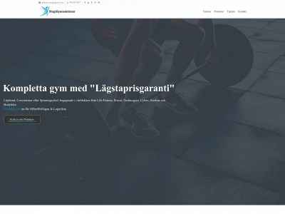 slag1gymauktioner.se snapshot