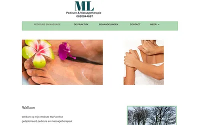 mlpurefect.nl snapshot