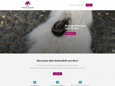 die-blutegeltherapie.de snapshot