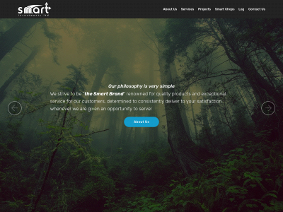 smarti2020.com snapshot