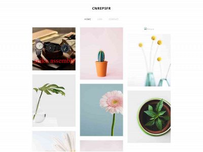 cnrepsfr.weebly.com snapshot
