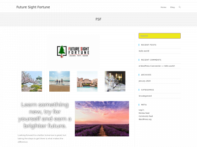 futuresightfortune.com snapshot
