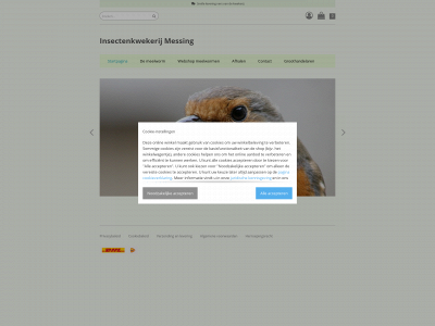 insectenkwekerijmessing.nl snapshot