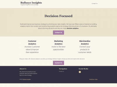 bullseyeinsights.com snapshot