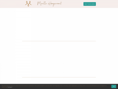 bewustinjelichaam.nl snapshot
