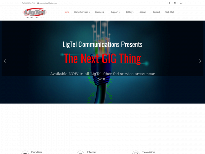 ligtel.com snapshot