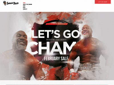 shannonbriggs.com snapshot