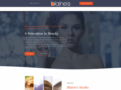 blainesdallas.com snapshot