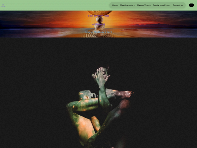 soulsynergycenteryoga.com snapshot