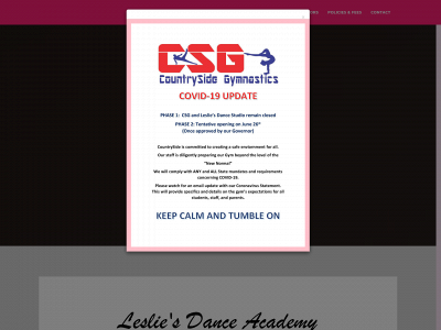 lesliesdanceacademy.com snapshot