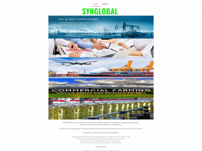 syngloballtd.com snapshot