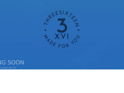 threesixteenfiji.com snapshot