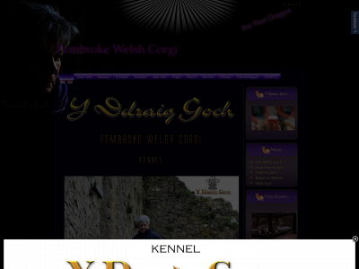 y-ddraig-goch.nl snapshot