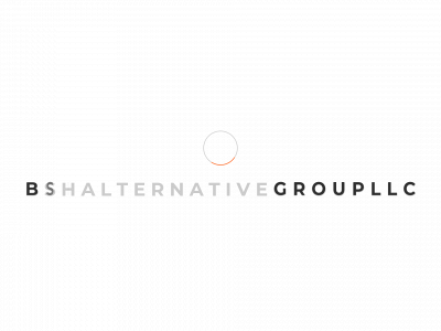 bshalternativegroupllc.com snapshot