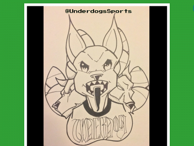 theunderdogsworldhoops.com snapshot