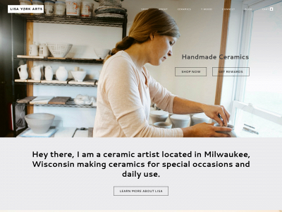 www.lisayorkart.com snapshot