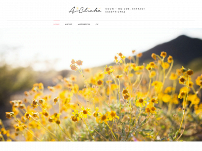 acliche.be snapshot