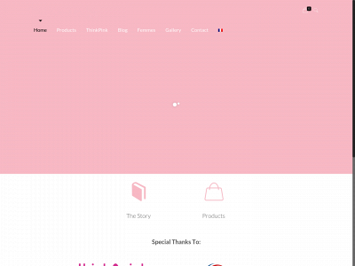 vivelesfemmes.be snapshot