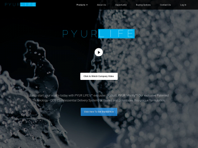 pyurlife.com snapshot