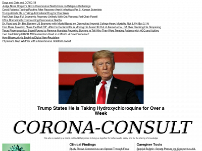 corona-consult.com snapshot