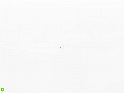 reimorangeglobal.com snapshot