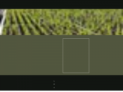 tjulsskogsplantor.se snapshot