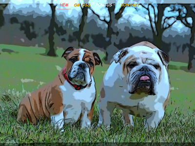 kennellindbull.se snapshot