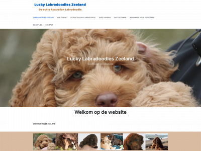 luckylabradoodleszeeland.nl snapshot