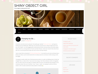 shinyobjectgirl.com snapshot