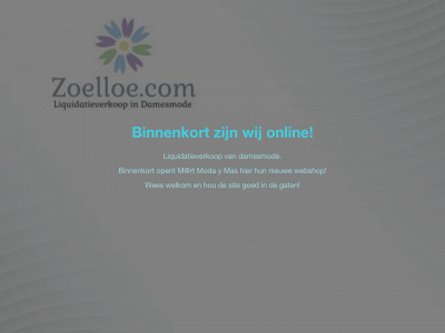 zoelloe.com snapshot