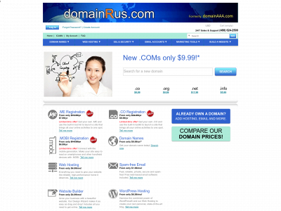domainaaa.com snapshot