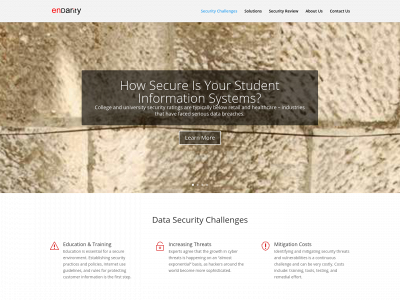endarity.com snapshot