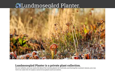lundmosen.dk snapshot